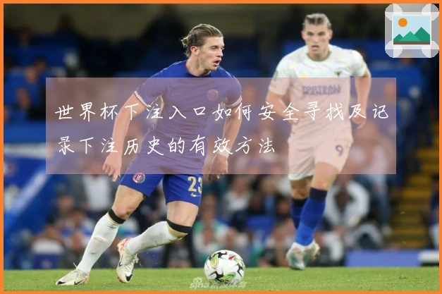 世界杯下注入口如何安全寻找及记录下注历史的有效方法