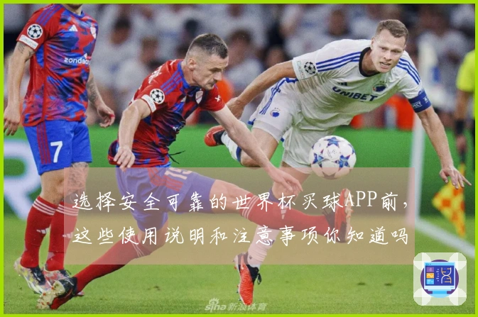 选择安全可靠的世界杯买球APP前，这些使用说明和注意事项你知道吗