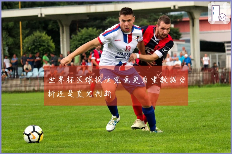 世界杯买球投注究竟更看重数据分析还是直觉判断
