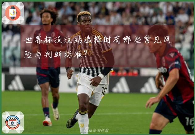 世界杯投注站选择时有哪些常见风险与判断标准？