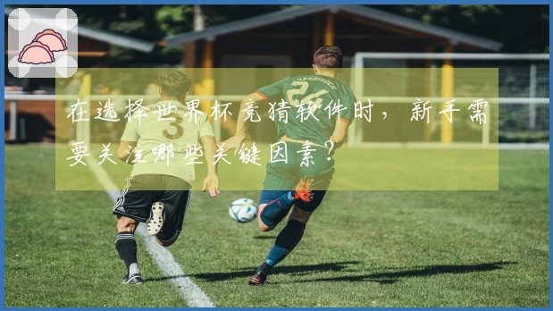 在选择世界杯竞猜软件时，新手需要关注哪些关键因素？