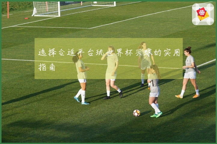 选择合适平台玩世界杯买球的实用指南
