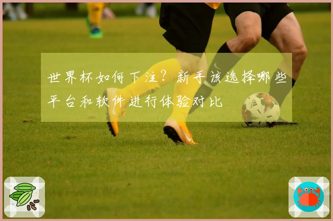 世界杯如何下注？新手该选择哪些平台和软件进行体验对比