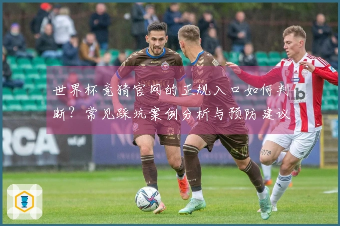 世界杯竞猜官网的正规入口如何判断？常见踩坑案例分析与预防建议