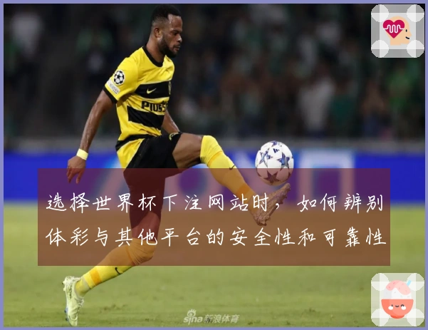 选择世界杯下注网站时,如何辨别体彩与其他平台的安全性和可靠性