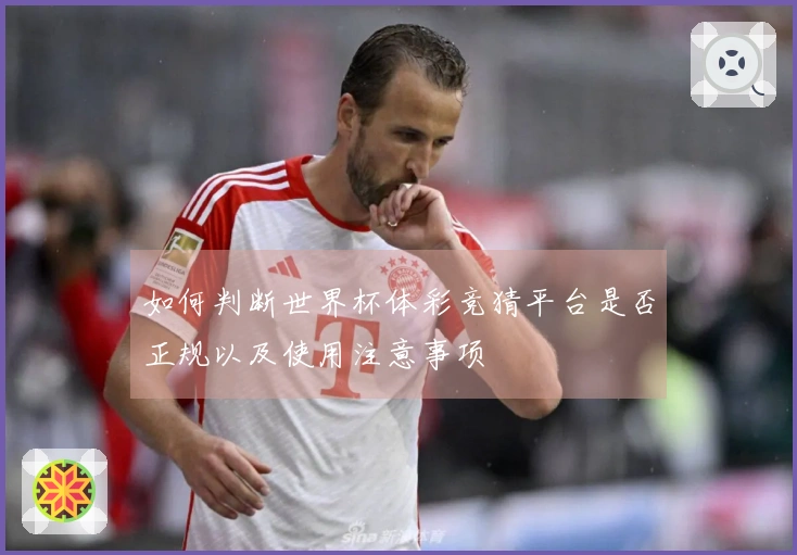 如何判断世界杯体彩竞猜平台是否正规以及使用注意事项