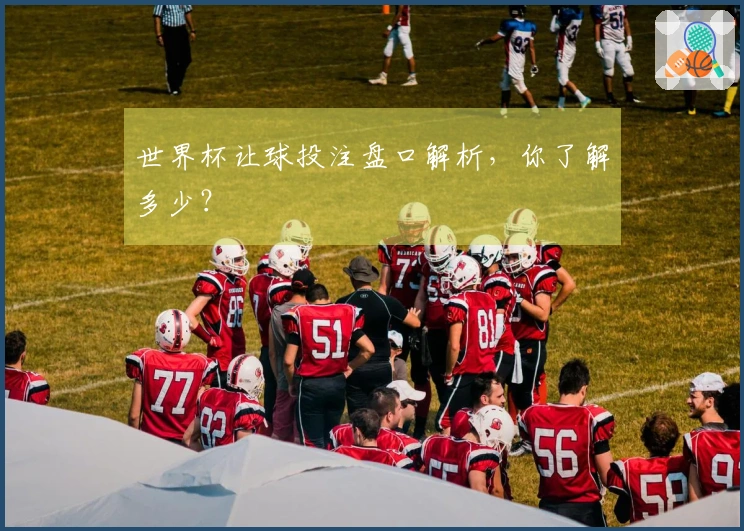世界杯让球投注盘口解析，你了解多少？
