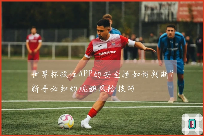 世界杯投注APP的安全性如何判断？新手必知的规避风险技巧