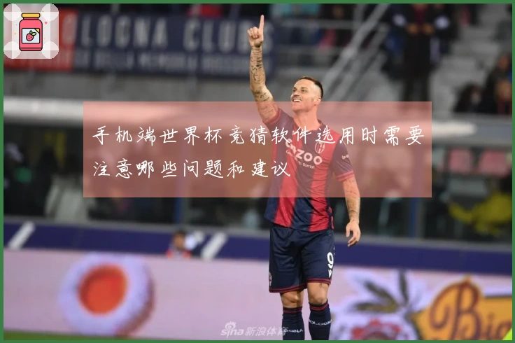 手机端世界杯竞猜软件选用时需要注意哪些问题和建议