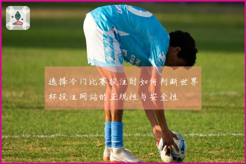 选择冷门比赛投注时如何判断世界杯投注网站的正规性与安全性