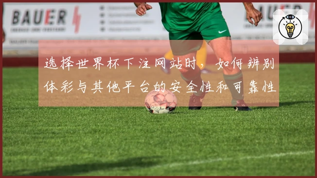 选择世界杯下注网站时，如何辨别体彩与其他平台的安全性和可靠性