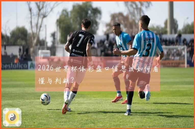 2026世界杯体彩盘口信息该如何看懂与判断？