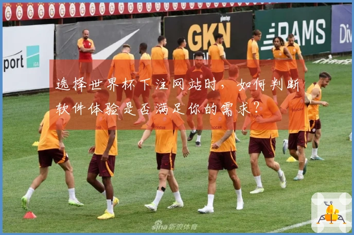 选择世界杯下注网站时，如何判断软件体验是否满足你的需求？