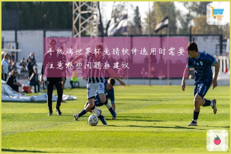 手机端世界杯竞猜软件选用时需要注意哪些问题和建议