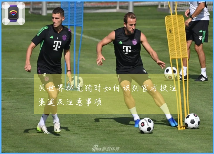 买世界杯竞猜时如何识别官方投注渠道及注意事项