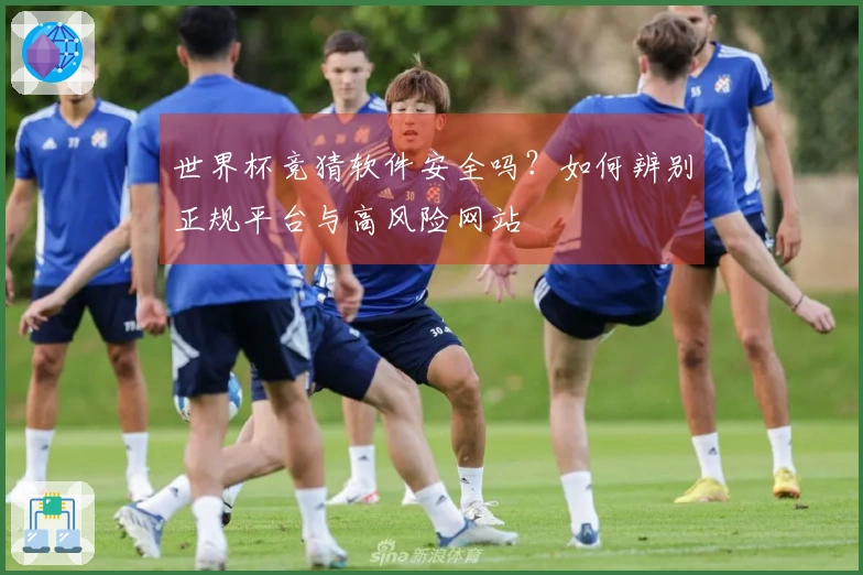 世界杯竞猜软件安全吗？如何辨别正规平台与高风险网站