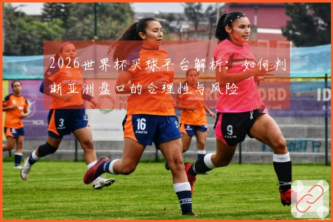 2026世界杯买球平台解析：如何判断亚洲盘口的合理性与风险