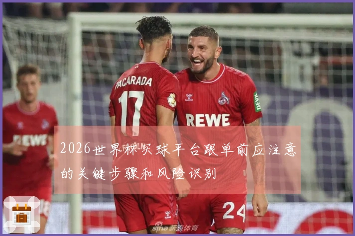 2026世界杯买球平台跟单前应注意的关键步骤和风险识别