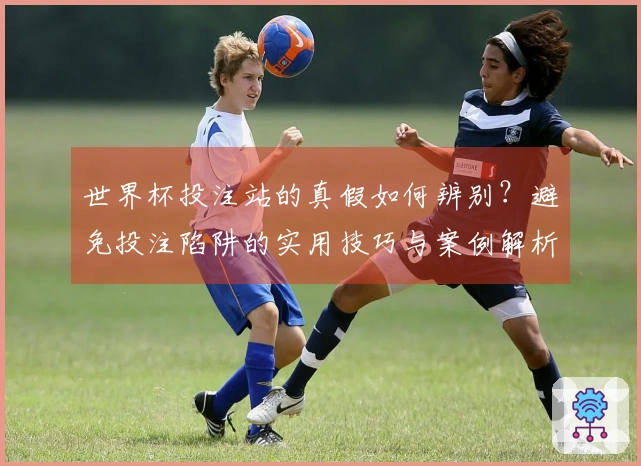 世界杯投注站的真假如何辨别？避免投注陷阱的实用技巧与案例解析