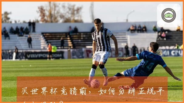 买世界杯竞猜前,如何分辨正规平台与风险?