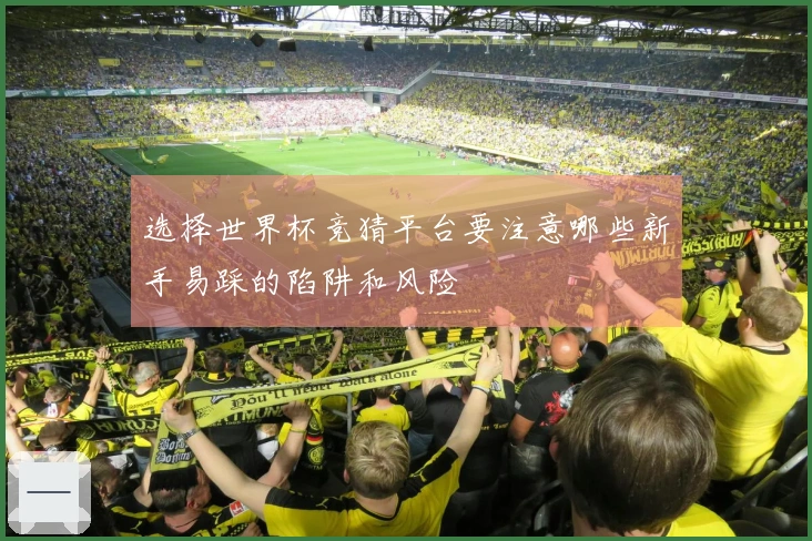 选择世界杯竞猜平台要注意哪些新手易踩的陷阱和风险