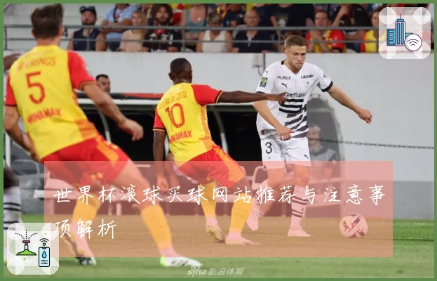 世界杯滚球买球网站推荐与注意事项解析