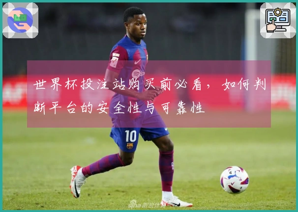 世界杯投注站购买前必看，如何判断平台的安全性与可靠性