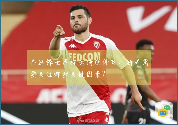 在选择世界杯竞猜软件时，新手需要关注哪些关键因素？