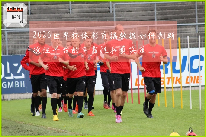 2026世界杯体彩直播数据如何判断投注平台的可靠性和真实度