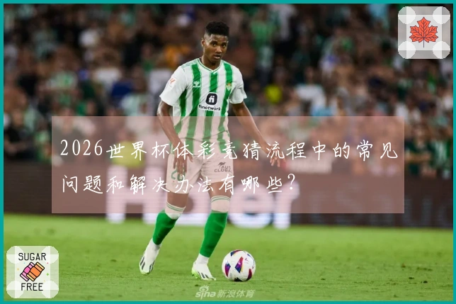 2026世界杯体彩竞猜流程中的常见问题和解决办法有哪些？